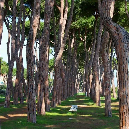 Orchidea 3 - Apartment Pineto